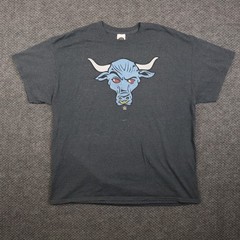 Vintage WWE The Rock Brahma Bull T-Shirt Mens XL Heather Gray Graphic Casual