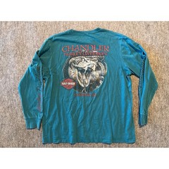 Harley Davidson Chandler Arizona Rattlesnake Long Sleeve T-Shirt Teal Mens XL