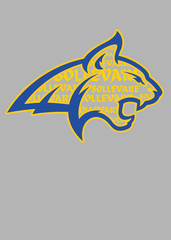 Sollevare Bobcat Profile Graphic Tee Gray Yellow Bella and Canvas Youth RCA