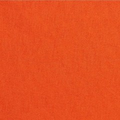 Hanes 5170 5XL EcoSmart Crewneck Short Sleeve Tee Pit to Pit 31″ Unisex Orange