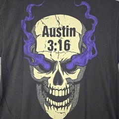 WWE WWF Wrestling Stone Cold Steve Austin Shirt Mens Large GRAY 3:16 Skull NWT B