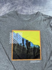 American Eagle Shirt Men’s Large Standard Fit Long Sleeve Gray Mountain Graphic