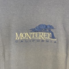 VTG 90s Moneterey California Emboridered T Shirt XL Faded Blue Cypress Anvil