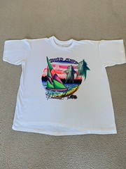 Vintage Wind Surf hand painted art white t-shirt, Blue Max, 100%cotton