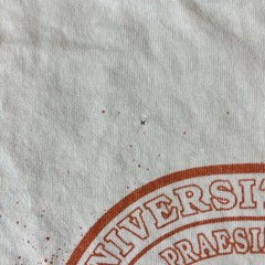 Vintage 80s 90s University of Texas T-Shirt Sz L Single Stitch Made in USA