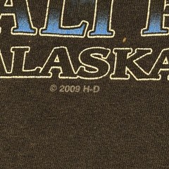 Harley-Davidson Shirt Mens XL Black Mt McKinley Denali Park Alaska Wolf USA VTG