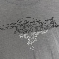 Icebreaker Merino Wool Graphic T Shirt Gray Size M Men’s Cycling Running Base