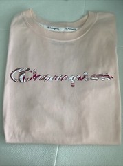 CHAMPION CLASSIC TEE (peach) AND CLASSIC LONG SLEEVE (blue) MEDIUM SET NEW *sale