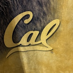 Vintage The Mountain UC Berkeley Cal Bears OHT Big Face T Shirt 2XL