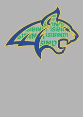 Isibindi Bobcat Profile Graphic Tee Gray Green House System Shirt Youth RCA
