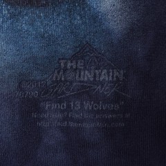 The Mountain Wolf Snowy T-shirt Blue Find 13 Wolves Snow Scene Large Long Sleeve