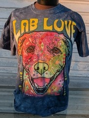 Lab Love The Mountain 2015 T-Shirt Mens L Blue Tie Dye Dog Vintage Y2K Tee
