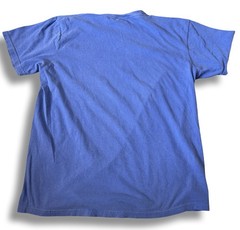 FIRE ISLAND LONG ISLAND NY MENS LARGE SURFING HAMPTONS BLUE CREW NECK T-SHIRT