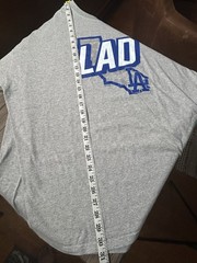 LA Dodgers LAD Tshirt Men’s Size 3XL Gray Crew Neck MLB Los Angeles California