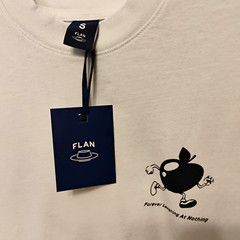 FLAN size Small UNISEX long sleeve T shirt Soft Green Apple Man 40″ Chest NWT