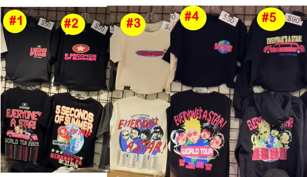 NEW Seconds of Summer 5SOS 2026 World Tour T-Shirts or Hoodie reprint