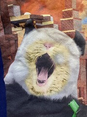 Panda Cat Shirt Adult Large It’s Pandemonium Its Catastrophy Face Swap Funny Men