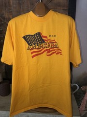 Hanes Heavyweight 50/50 9-11-01 T Shirt Dark Orange Size XL Vintage America