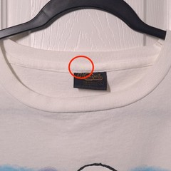 VINTAGE Snoopy: Friends Are The Flowers USED Shirt: DISTRESSED, L, Single Stitch