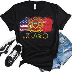 Morocco Dual Citizen Moroccan American USA Flag Gift T Shirt Moroccan Raised Ro