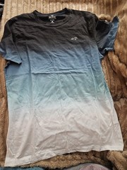 Hollister Must-Have Collection Men’s M Crew Neck Short Sleeve Cotton T-Shirt