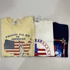 Wholesale Lot of 30 Modern/Vintage Mix Short Sleeve Tee Shirts (Sizes In Desc)