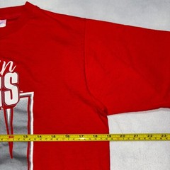 Vintage 80s 90s Wisconsin Badgers Graphic T-Shirt Sz M Single Stitch Made in USA