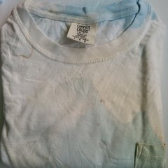 31 Mens L, T Shirts Tees – Various Colors – Ring Spun, Garment Dyed, w/ Flaws