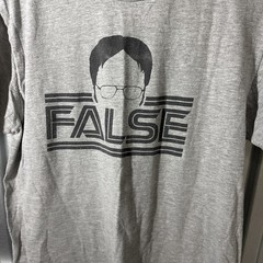 Dwight Schrute False The Office Men’s Size Large Grey Graphic T-Shirt