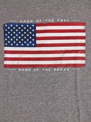 Gray T Shirt Large Men’s Graphic Logo Land Of The Free Home Of The Brave New
