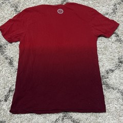 Nike T Shirt 2016 United States of American Out of Many, One Size Large Team USA
