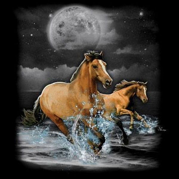 Horse Wilderness T Shirt Choose Style & Size Up to 4XL 10475