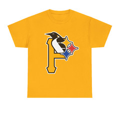 Pittsburgh Ultimate Sport Teams Fan Shirt Different Colors Available