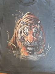 Vintage Tiger Animal Nature Art Big Cat Country St Louis Zoo Single Stitch USA M