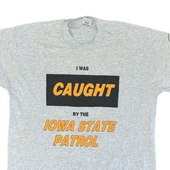 Vintage Iowa State T-Shirt Graphic USA 90s Retro Funny Grey Mens Large