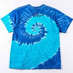 Vintage Bluegrass Festival Shirt Medium Tie Dye Lets Fiddle A Little 2001 Y2K