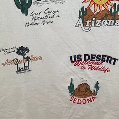 Trust The Universe Men’s Small Beige Sleeveless Shirt Large Travel Arizona NWT