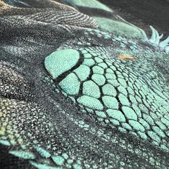 Vintage Costa Rica Shirt Adult Medium Black Iguana Animal Nature Tropical USA