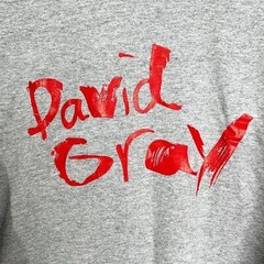 NWOT David Gray 07 Tour Long Sleeve Graphic T-Shirt in Grey Unisex Sz L