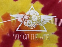 Vintage Y2K Pink Floyd Tie Dye Pigs On The Wing Band Shirt Port & Company Large