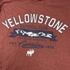 Yellowstone National Park Adult Large T-Shirt Rusty Red Mountains Cotton Poly