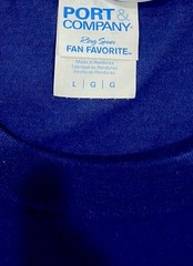 Dinosaur Alphabet Port & Company Ringspun Fan Favorite T-shirt Large