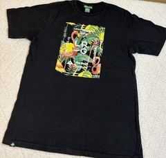 Vintage Y2K LRG Lifted Research Group Flamingos Tropical Fresh Outdoors Shirt M