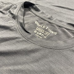 Wool & Prince Merino Blend Crew T-Shirt Gray Men’s XXL