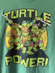 Nickelodeon Teenage Mutant Ninja Turtles T-Shirt Men’s Small 34-36 Green 2016