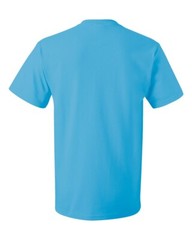 FRUIT OF THE LOOM HD COTTON MENS T SHIRT CREW NECK #3930