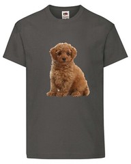 Toy Poodle Brown Dog Pet Family Novelty T Shirt Various Colours And Sizes