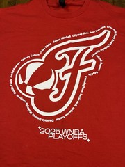 Indiana Fever WNBA 2025 Playoffs SGA T-Shirt Semi-Finals Game 4 9/28/25
