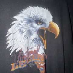 Vintage 1986 Harley Davidson 3D Emblem Eagle Untamed Legend Rare Melbourne Fl