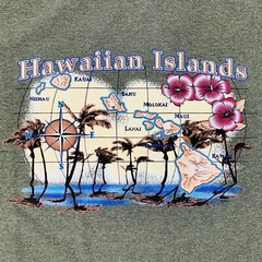 Hawaiian Tropical T-Shirt Mens Hawaiian Islands Heather Army Green 2XL NWOT